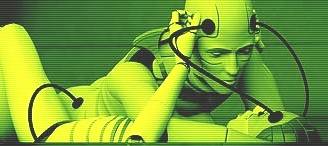 Borgs