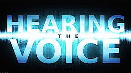 voice
