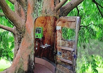 tree